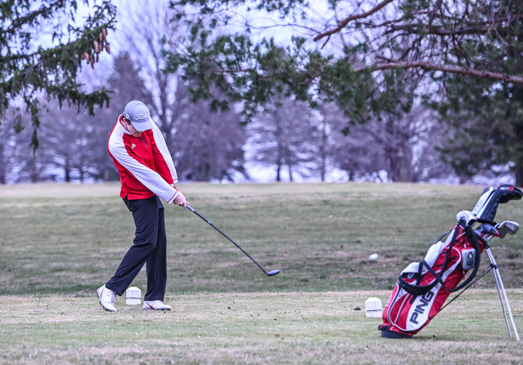FC Golf 8